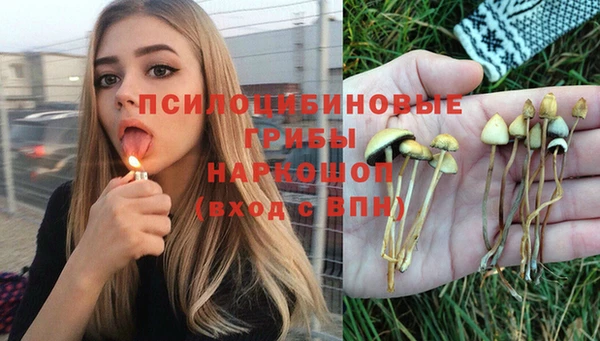 ГАЛЛЮЦИНОГЕННЫЕ ГРИБЫ Кинешма