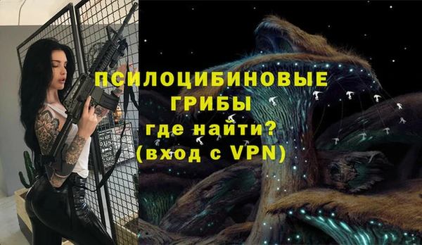 a pvp Киреевск
