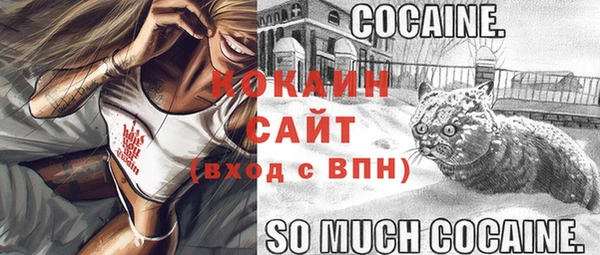 ПСИЛОЦИБИНОВЫЕ ГРИБЫ Киренск