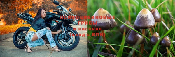 ПСИЛОЦИБИНОВЫЕ ГРИБЫ Киренск