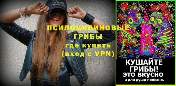ГАЛЛЮЦИНОГЕННЫЕ ГРИБЫ Кинешма